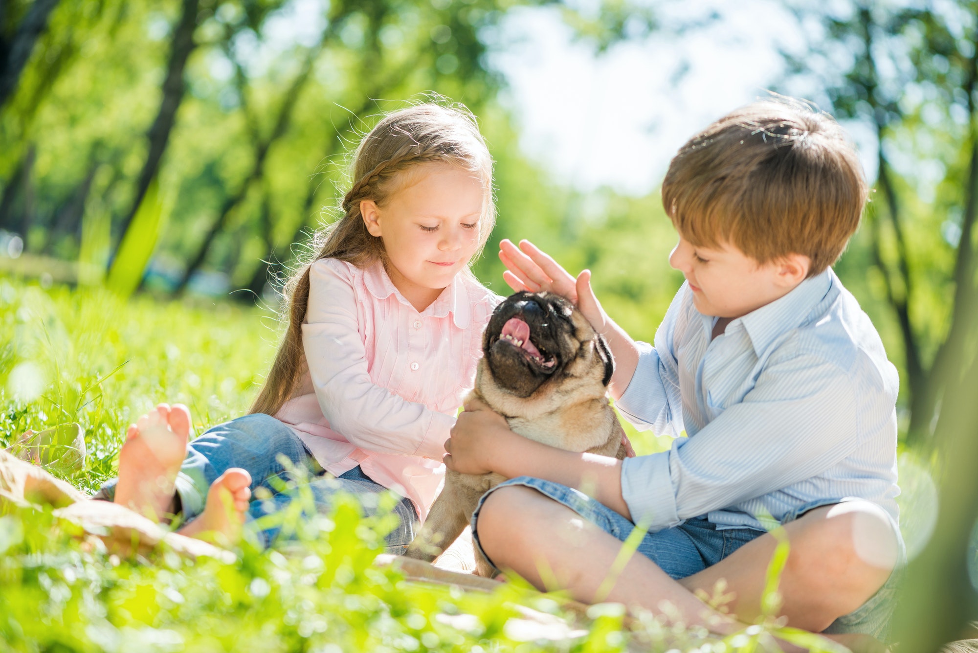 Children in park with pet